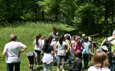 Progetto Scuole