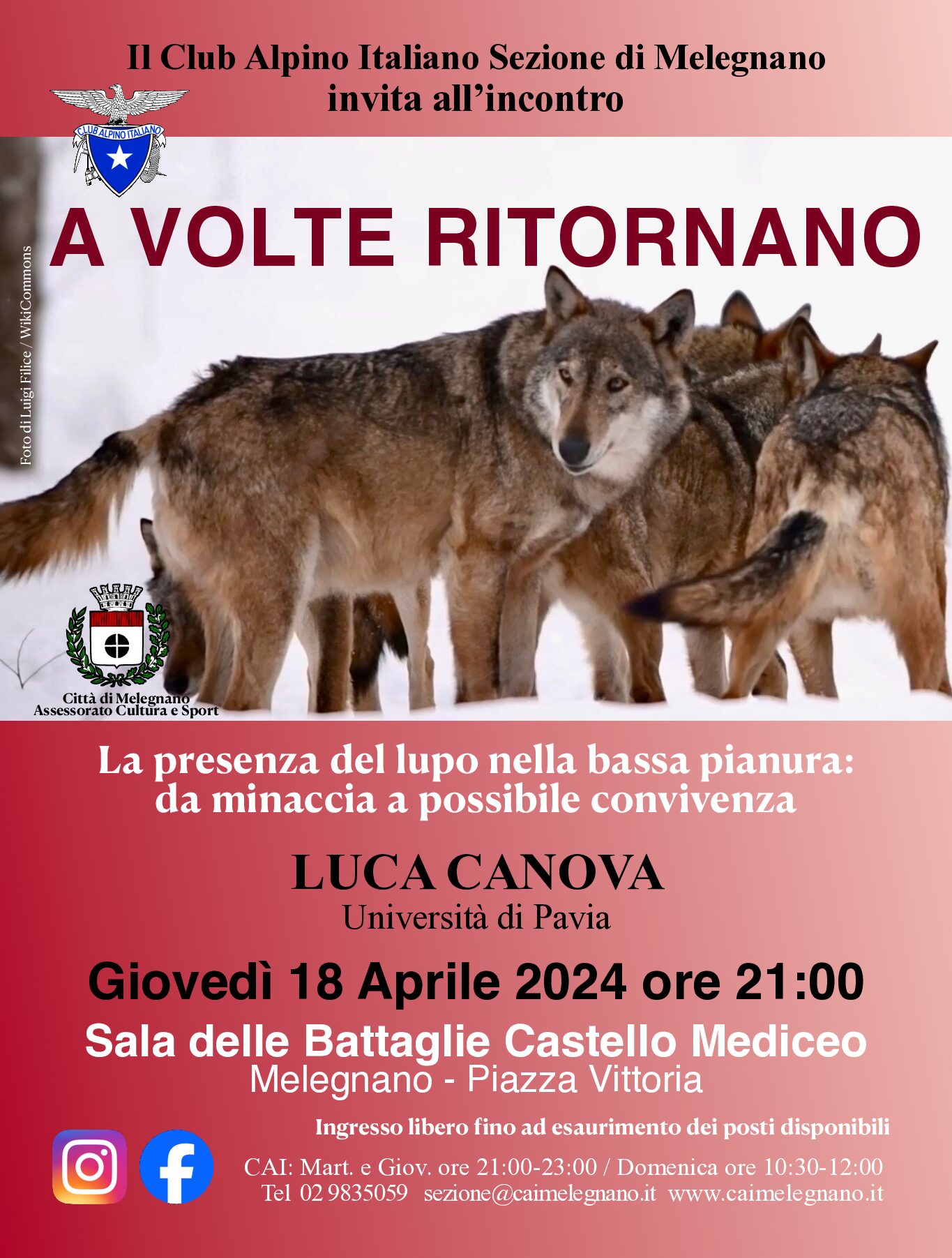 A volte ritornano: la presenza del lupo nella bassa pianura