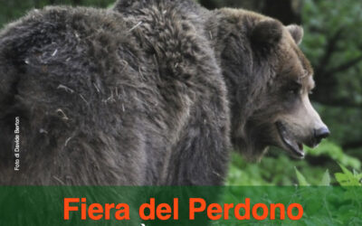 Fiera del Perdono: mostra grandi carnivori